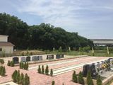 メモリアルプレイス川口の郷の画像