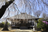 相頓寺の画像