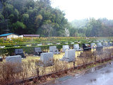 公営 松戸市営白井聖地公園の画像