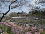 画像_01