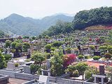 八王子 上川霊園の画像