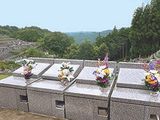 大多摩霊園の画像