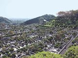 大型公園墓地 西多摩霊園の画像