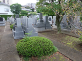 画像_01