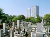 公営 都立雑司ヶ谷霊園の画像