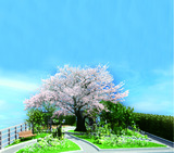 樹木葬 田無さくら庭園の画像